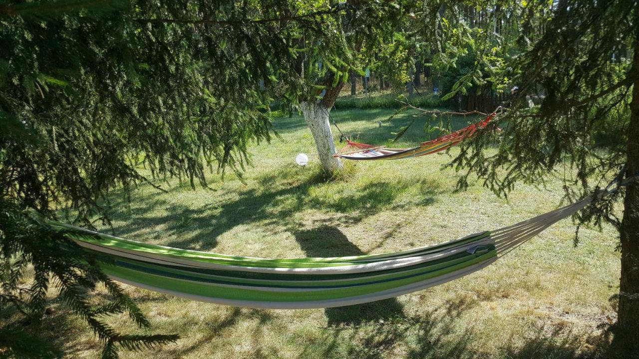 Borywood Villa Male Gacno Eksteriør billede