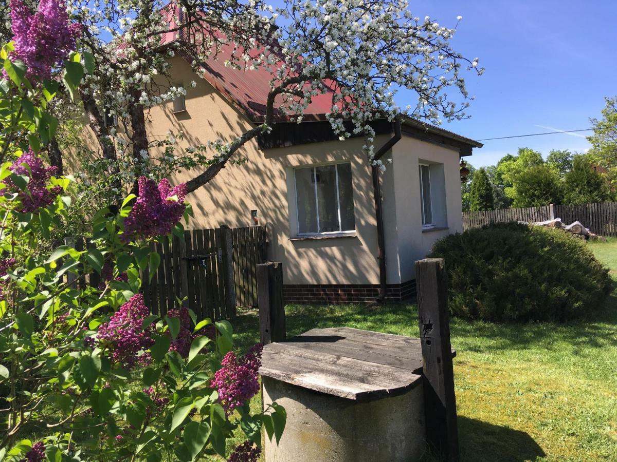 Borywood Villa Male Gacno Eksteriør billede